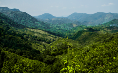 SEASON OF CREATION 2024