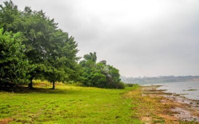 Message to Claretian communities on the situation in the East of our country