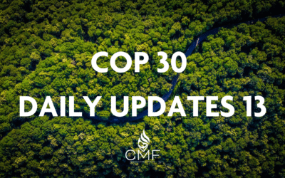 Day 13 : Global Mutirão Vision Emerges as COP30 Closes with Mixed Achievements